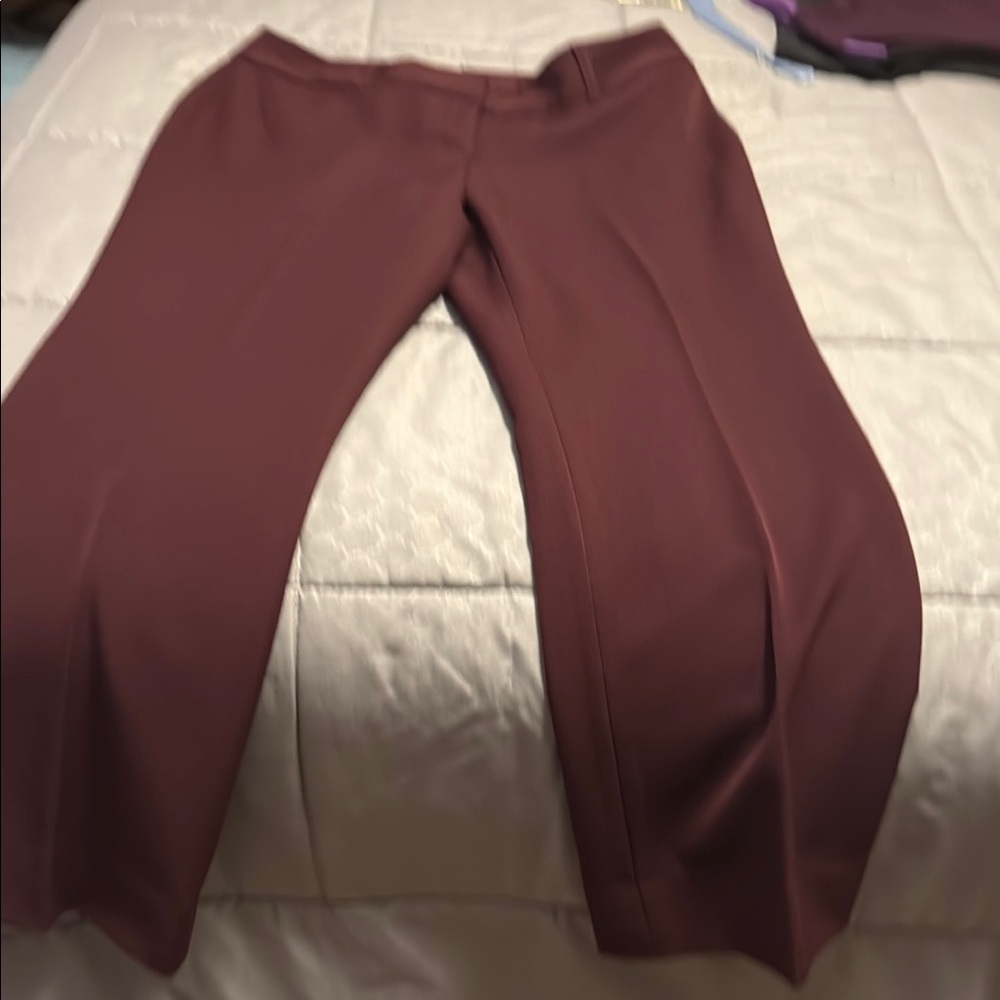 10 Petite Rafaella Pants in Wine